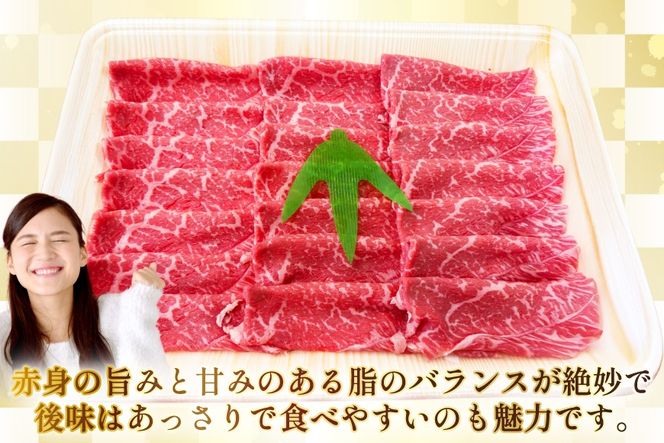 AJ581 【6回定期便】長崎和牛 もも しゃぶしゃぶ用 約500g [ 肉 牛肉 和牛 高級 おいしい ステーキ肉 まるしん商会 黒牛 長崎県 島原市 ]