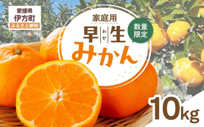 【先行受付】【数量限定】【家庭用】早生みかん（生果）10kg（2026年11月上旬頃より順次発送） IKTQ014