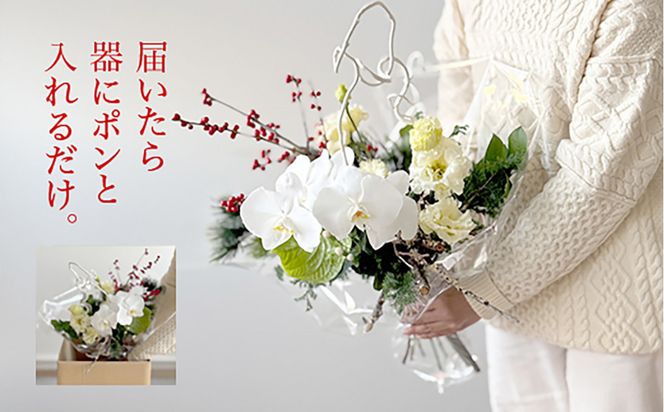 679.素敵に飾れるお正月ブーケセット【紅白】――胡蝶蘭で迎える特別な新年。縁起の良い紅白カラーのお正月ブーケ（ガラスベース付き） 313726_BC035