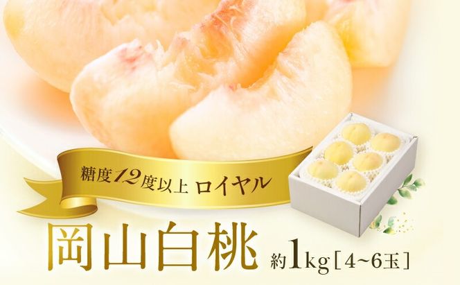 桃 2026年 先行予約 岡山 白桃 ロイヤル 4～6玉 約1kg JAおかやまのもも（早生種・中生種） もも モモ 岡山白桃 ロイヤル 岡山県産 晴れの国 国産 フルーツ 果物 ギフト 旬 期間限定