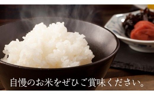 茨城県 筑西市産 コシヒカリ 15kg （ 5kg × 3袋 ） 三ツ星 マイスター 米 コメ こしひかり 単一米 精米 [CH013ci]