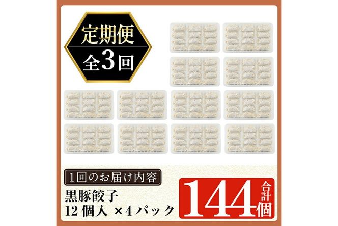 ＜容量・定期便が選べる＞鹿児島黒豚「短鼻豚」無添加餃子セット(48個・96個・3回定期便)【鹿児島ますや】姶良市 ギョーザ 餃子 無添加 惣菜 おかず おつまみ 冷凍 黒豚 国産野菜 ぎょうざ a441 a442 a880
