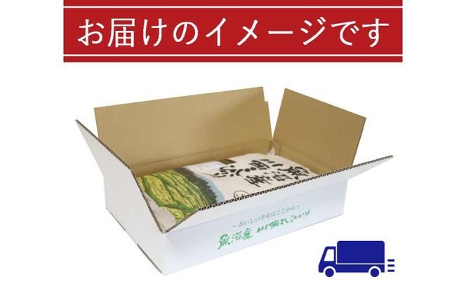 令和８年産米　先行予約【定期便／12ヶ月】魚沼産川西こしひかり5kg  ＜令和8年10月下旬～発送予定＞ 