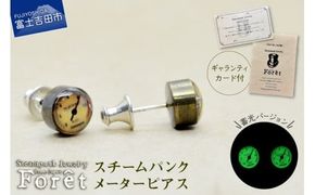 Steampunk スチームパンク メーター ピアス