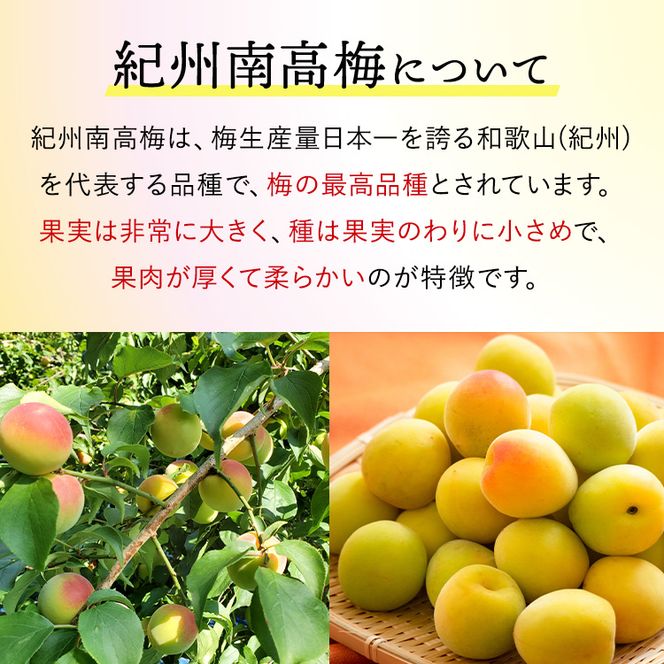 【贈答用】紀州南高梅　こんぶ風味梅干　1000g　化粧箱入 | 1kg ギフト プレゼント 国産 ※北海道・沖縄・離島への配送不可