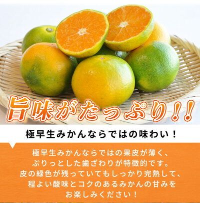 G7098_ 紀州和歌山有田産 ゆら早生みかん 10kg【ミカン 蜜柑 柑橘 温州みかん わせみかん】