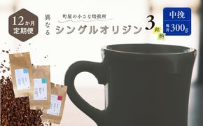 【定期便：12ヶ月連続でお届け】シングルオリジンコーヒー 100g × 3品種（中挽き）計300g×12ヶ月 1075018 コーヒー 珈琲 粉