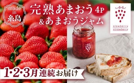 【全3回定期便】完熟 あまおう 270g × 4パック / あまおうジャム 140g × 3本【先行予約受付中：2025年1月以降順次発送】 苺 いちご 糸島市 / slowberry strawberry [APJ004]