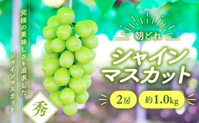 【2025年/令和7年発送分】シャインマスカット　2房　約1.0kg　人気　おすすめ　国産　贈答　ギフト　お取り寄せ　山梨県産　産地直送　フルーツ　果物　くだもの　ぶどう　ブドウ　葡萄　シャイン　シャインマスカット　新鮮　AV-2