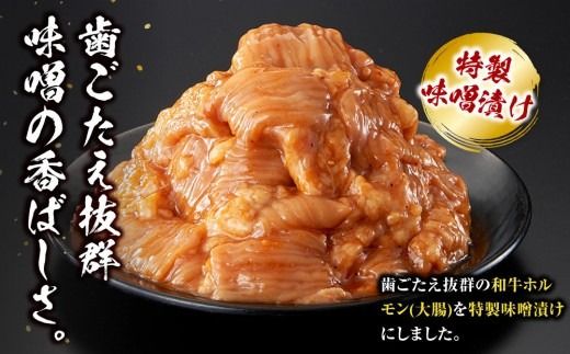 ホルモン 大腸 味噌漬け 600g ( 300g × 2 ) 歯ごたえ抜群 小分け 使いやすい 味付き 調理便利 焼肉 野菜炒め ホルモン炒め 訳あり 不揃い 和牛 冷凍 配送時期が選べる 個包装 冷凍保存 アウトドア キャンプ おすすめ 人気