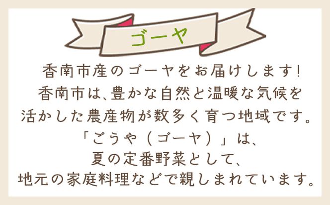【2025年10月以降順次発送】ゴーヤ ２ｋｇ 家庭用 yr-0074