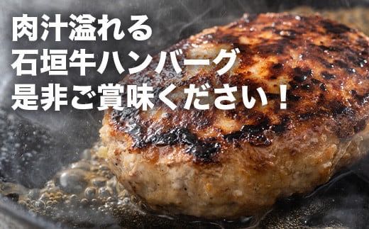 やえやまファームの石垣牛ハンバーグ 6個セット E-27