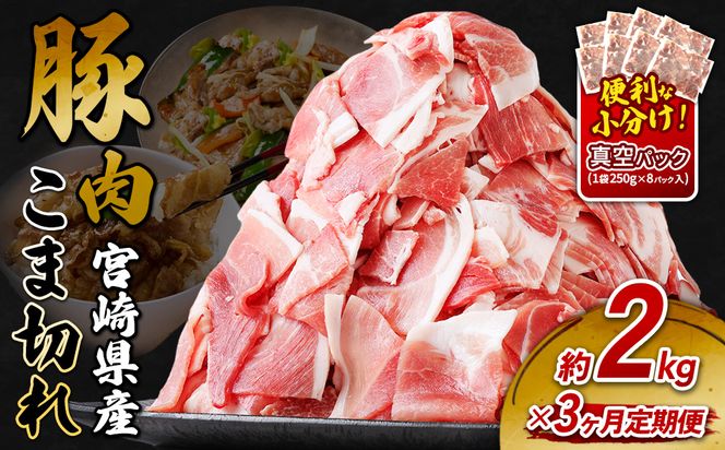 定期便 3回お届け 宮崎県産 いもこ豚 小間切れ 2kg (250g×8パック) 真空パック 小分け 豚肉 えびの市