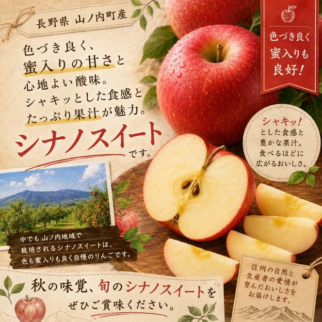 【2026年10月発送】 シナノスイート約3kg 7～9玉 りんご 長野県産