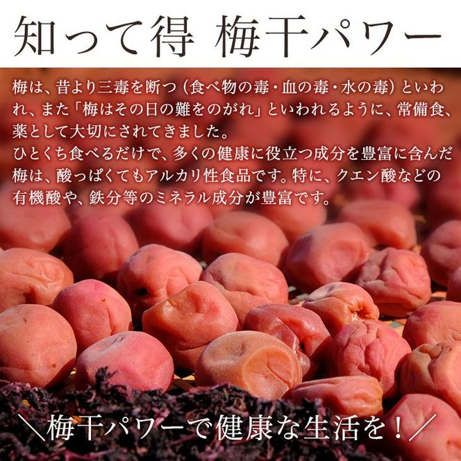 《紀州南高梅》はちみつ梅干し つぶれ梅（ご家庭用 訳あり）500g◇