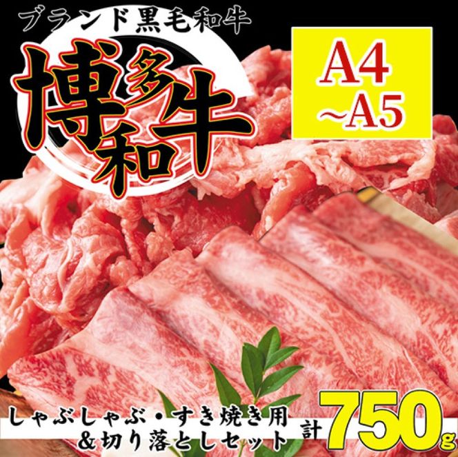 博多和牛 A4～A5 しゃぶしゃぶ すき焼き 750g セット（スライス 250g・切り落とし 500g）配送不可：離島 