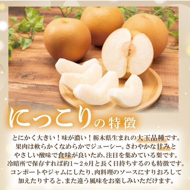 【先行予約】【数量限定】あい farm の梨 にっこり 5kg (4～9玉) | 10月中旬より順次発送 梨 なし フルーツ 果物 新鮮 旬 梨園 益子町産 (DQ004)