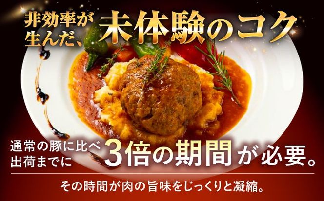 『命豚ソーセージ4種＆命豚ハンバーグ2種セット』 豚肉 ハンバーグ ソーセージ 詰め合わせ お取り寄せ 国産 ギフト 冷凍 沖縄市 / DELICATESSEN NUCHIBUTA [BCAR002]