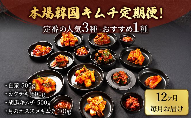 本場韓国キムチ定期便！ 12ヵ月 定番の人気3種+おすすめ1種 キムチ おつまみ 韓国食材 韓国料理 静岡県 袋井市