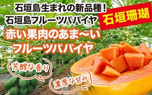 フルーツパパイヤ４kg 【 パパイヤ フルーツパパイヤ 果物 くだもの フルーツ 果実 国産 沖縄県 沖縄 石垣 石垣島 石垣市 】ZH-14