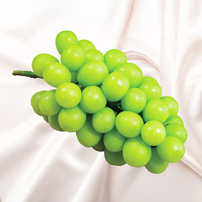 yɌLszLԂǂ VC}XJbg Q  4kg / LuhE Yn x Z Ö iȍ ؂̗ǂ 炲 Hׂ _ VC }XJbg Ԃǂ uhE  ʕ  t[c ӂ_