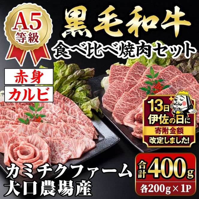 isa688 【伊佐の日・寄附額改定】鹿児島県(カミチクファーム 大口農場)産 黒毛和牛食べ比べ焼肉セット(合計400g・赤身・カルビ各200g×1パック) 黒毛和牛 焼肉 食べ比べ セット 和牛 A5 ランク 雌牛 霜降り 赤身 肩 カルビ モモ バラ 牛肉 アウトドア 小分け 冷凍 【お肉の直売所 伊佐店】