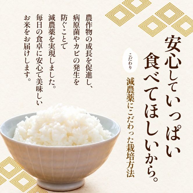 にじのきらめき 虹のきらめき 玄米 30kg 30キロ 令和8年 香川県産 国産 米 お米 国産米 香川県産米 大粒 もっちり 粘り おにぎり ご飯 ごはん はなまる農園 甘み 香川 香川県 東かがわ市 46312688