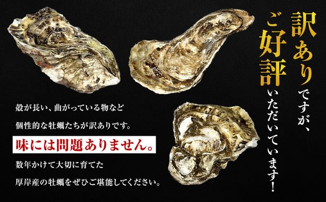 11月～3月 定期便 訳あり ハーフ 規格外 牡蠣 北海道厚岸産 殻付カキ 約2kg（11～25個）カキナイフ付 生食 魚貝類 生牡蠣 かき 生カキ カキフライ マルえもん いびつな形 四季によって違う味わい コクがあり濃厚