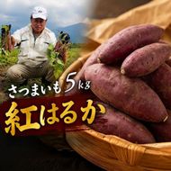 さつまいも 5kg (紅はるか)