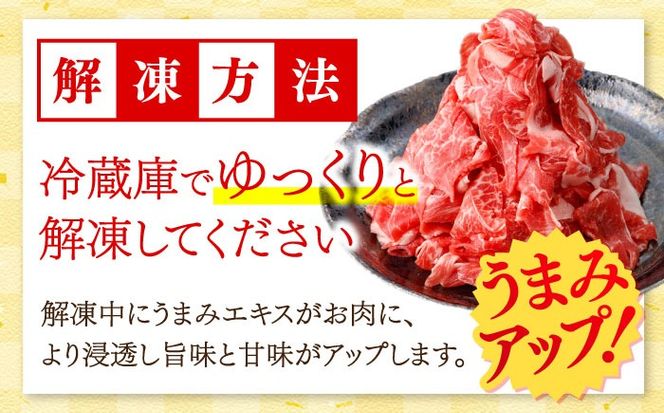 【12回定期便】国産 黒毛和牛 熟成肉 切り落とし計1kg（500g×2パック）/ 小分け 国産牛 お肉 牛肉 切落し 冷凍 焼肉 すき焼き / 南島原市 / ふるさと企画[SBA097]