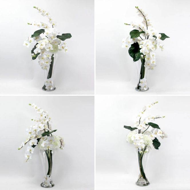 アートフラワー エミリオ・ロバ  ファレノプシス3XL TTNTA-54900