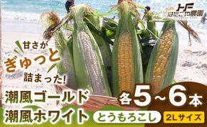 ［2027年発送 先行予約 夏の味覚］［旬の２種類を贅沢に］食べ比べセット 1セット とうもろこし トウモロコシ ゴールドラッシュ 黄色 潮風ゴールド 潮風ホワイト スイートコーン 茹でとうもろこし BBQ 焼き肉 白浜町 304018_ET07