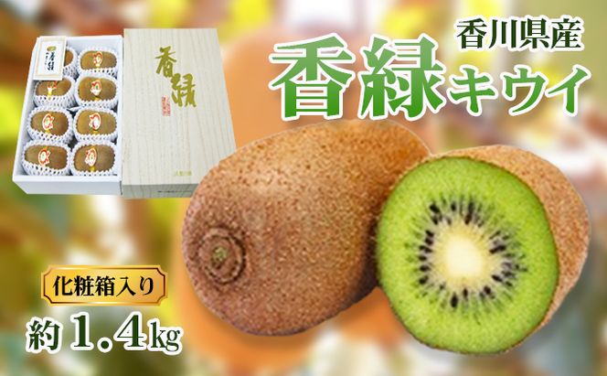 香緑 (こうりょく) キウイ1.4kg 化粧箱 キウイフルーツ フルーツ 果物 くだもの 果実 旬の果物 旬のフルーツ 香川 香川県 東かがわ市
