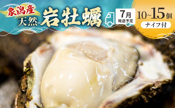 【 先行予約 7月上旬～下旬発送予定】象潟産 天然岩牡蠣 10～12個 ナイフ付【 牡蠣 夏牡蠣 かき 象潟 生食可 魚介類 海鮮 海産物 海の幸 】
