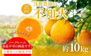 【先行予約】訳あり 不知火 計10kg ※離島への配送不可（2027年2月中旬頃より順次発送予定）IKTAC030