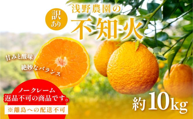 【先行予約】訳あり 不知火 計10kg ※離島への配送不可（2027年2月中旬頃より順次発送予定）IKTAC030