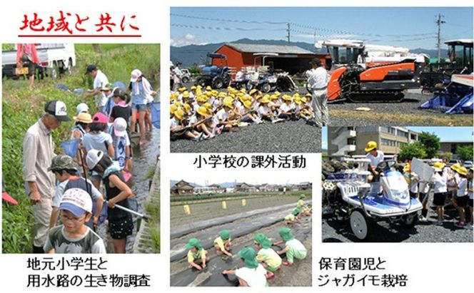 定期便4カ月【令和7年産】特別栽培米5kg【白米】(ハツシモ) 米 お米 白米 コメ ご飯 定期 岐阜県 池田町