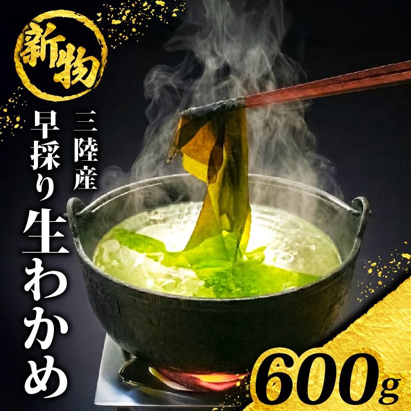 [先行予約] 早採り生わかめ 新物 600g(200g×3袋) 期間限定 ★2026年1月〜発送予定★ わかめ 早採りわかめ 生わかめ 三陸 漁師わかめ 小分け 若芽 湯通し 海藻 海産物 味噌汁 ごはん 夕飯 おかず 小分け 個包装 しゃぶしゃぶ サラダ お刺身 刺し身 刺身 綾里 岩手県 国産 大船渡
