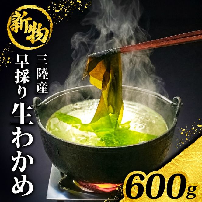 【先行予約】 早採り生わかめ 新物 600g(200g×3袋) 期間限定 ★2026年1月～発送予定★ わかめ 早採りわかめ 生わかめ 三陸 漁師わかめ 小分け 若芽 湯通し 海藻 海産物 味噌汁 ごはん 夕飯 おかず 小分け 個包装 しゃぶしゃぶ サラダ お刺身 刺し身 刺身 綾里 岩手県 国産 大船渡