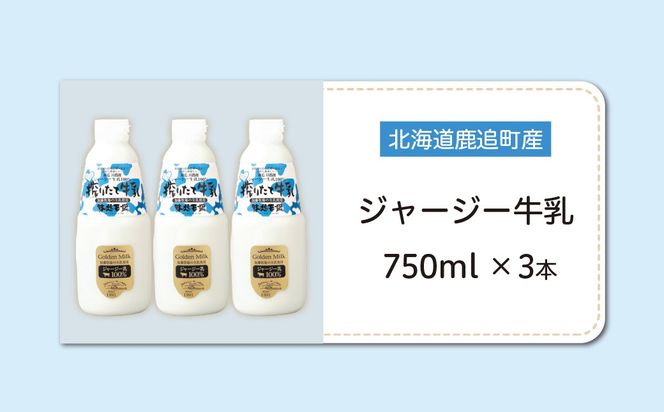 ジャージー牛乳 750ml ×3 SKM046