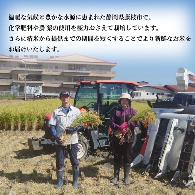 米 にこまる 2kg 農家直送 特別栽培米 精米 お米 新生活 贈り物 人気米 おにぎり ご飯 白米 コメ 贈答 静岡県 藤枝市