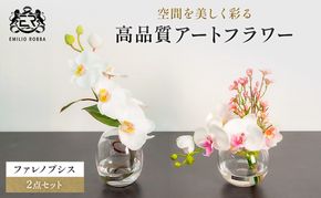 エミリオロバ　ファレノプシス2点セット