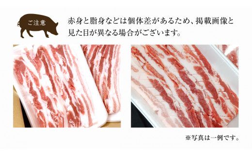 ローズポーク バラ肉 サムギョプサル 用 400g × 2P ( 茨城県共通返礼品 ) ローズ ポーク ブランド豚 豚バラ 豚肉 冷凍 肉 韓国料理 焼肉 [BM078us] 小分け