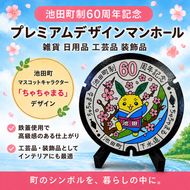 プレミアムデザインマンホール 雑貨 日用品 工芸品 装飾品 