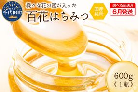 《2025年6月発送》 はちみつ 【千代田町の蜂蜜】600g 百花蜂蜜 群馬県 千代田町 ＜田代養蜂場＞ ハチミツ 蜂蜜 ハニー 蜜 国産 天然 パン 食パン トースト パンケーキ ヨーグルト 送料無料 お取り寄せ ギフト 贈り物 贈答用 プレゼント