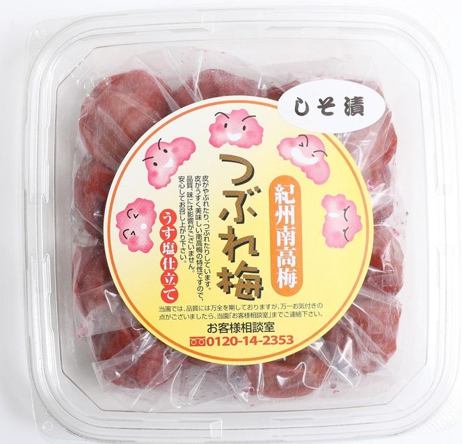 紀州南高梅　つぶれ梅250g×4   T162