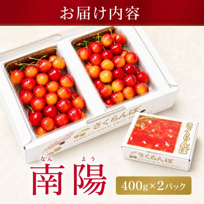 2027年発送 北海道 仁木町産 さくらんぼ 南陽 400g×2P Lサイズ  サクランボ チェリー フルーツ 果物 果物類 仁木町 仁木 [林果樹園]