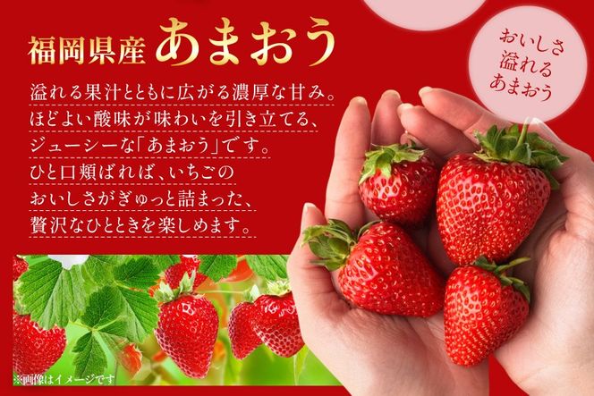 【期間限定発送】 いちご 定期便 あまおう 3p 3回 総計9p [THE FARM_strawberry 福岡県 宇美町 um40azo780004] イチゴ 苺 フルーツ 果実 甘い 小分け