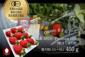 プレミアムオーガニックあまおう 「いせいちご」 プレミアムギフト【伊世いちご畑】_HA0481