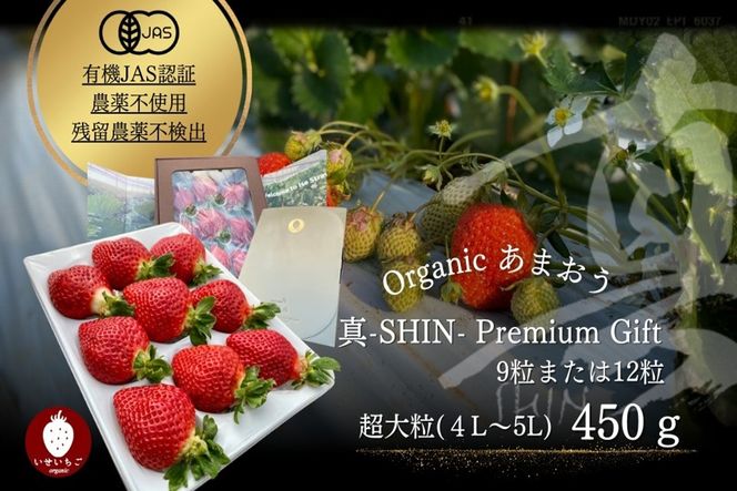プレミアムオーガニックあまおう 「いせいちご」 プレミアムギフト【伊世いちご畑】_HA0481